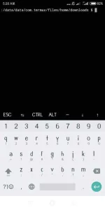 Screenshot_2020-03-25-05-28-44-478_com.termux.webp