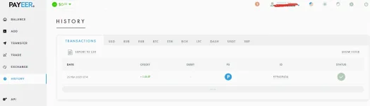 skyper-drakon PayeerHsitory.webp