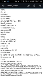 MyScreen_2020-03-30-00-45-01.webp