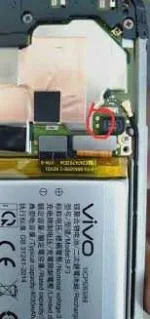 vivo.webp vivo.webp