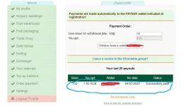 ff WebPay.webp