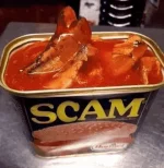 1587486054262.webp