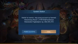 Screenshot_20200426-045033_Mobile Legends Bang Bang.webp