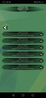 Screenshot_20200428_185343_crypto.aliens.bch.webp