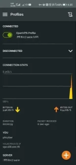 Screenshot_20200509_183503_net.openvpn.openvpn.webp