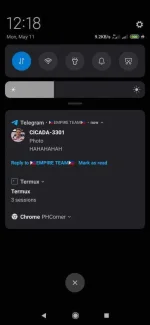 Screenshot_2020-05-11-00-18-49-549_com.android.chrome.webp