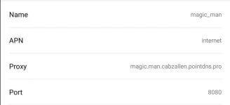 magic apn settings 1.webp