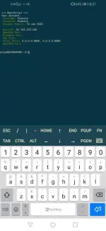 Screenshot_20200511_202115_com.sonelli.juicessh.webp