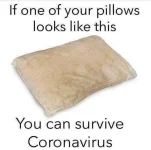 PILLOW.webp