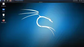 Screenshot_20200520-120021_NetHunter KeX.webp