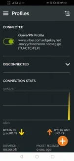 Screenshot_20200525_070115_net.openvpn.openvpn.webp