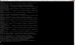 ocs p.webp