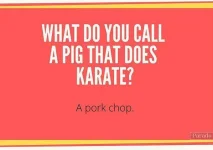 Corny-Jokes-5.webp