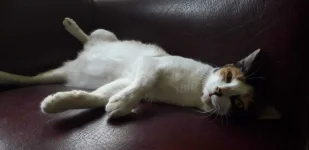 20180908_091546.webp