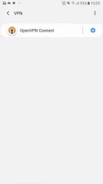 Screenshot_20200612-220335_Settings.webp