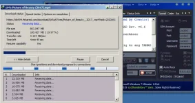 seed.webp