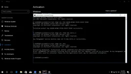 1592186095273.webp 1592186095273.webp