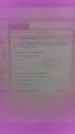 IMAG0197.webp