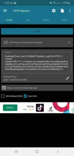 Screenshot_20200617-142505_HTTP Injector.webp