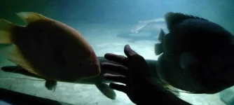 IMG20191130015045.webp