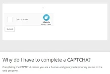 CAPTCHASHOWING.webp