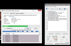 svl 6.webp