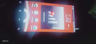 15949418327047398730238052895807.webp