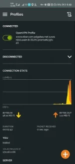 Screenshot_20200720_094803_net.openvpn.openvpn.webp