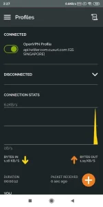 Screenshot_2020-07-21-02-27-32-536_net.openvpn.openvpn.webp
