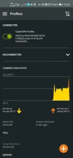 Screenshot_20200723_222053_net.openvpn.openvpn.webp