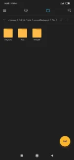 Screenshot_2020-07-24-20-48-52-293_com.mi.android.globalFileexplorer.webp