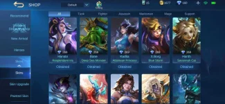Screenshot_20200729-085317_Mobile Legends Bang Bang.webp