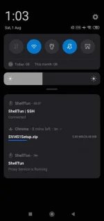 Screenshot_2020-08-01-13-03-18-757_com.android.chrome.webp