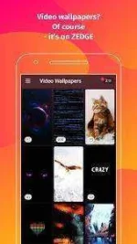 unnamed (4).webp unnamed (4).webp