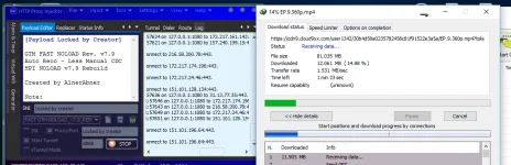 HPIV7.9.webp