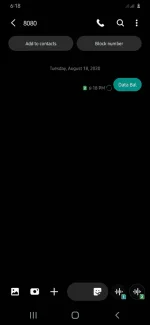 Screenshot_20200818-181900_Messages.webp