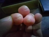 IMG20200818161222.webp