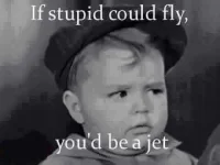 2b046cfeca2cda9e2bd20933a253a21f--funny-friday-pics-friday-quotes-funny.webp