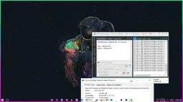 Untitled.webp