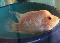 20190307_225031.webp