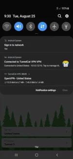 Screenshot_20200825-213059_TunnelCat VPN.webp