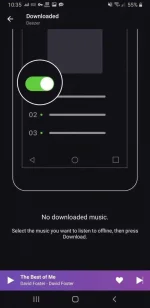 Screenshot_20200825-223531_Deezer.webp