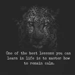 master calmness.webp