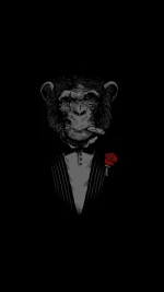 wp4855475-android-super-amoled-hd-wallpapers.webp