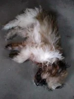 IMG20200902173809.webp