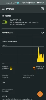 Screenshot_20200904_232432_net.openvpn.openvpn.webp