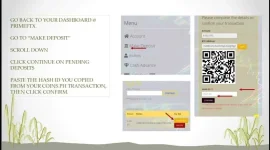 11.webp