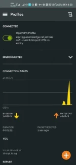 Screenshot_20200910_165828_net.openvpn.openvpn.webp
