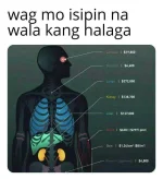 95664503_1885136968286180_681775755583029248_n.webp