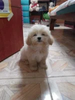 received_772386590226902.webp